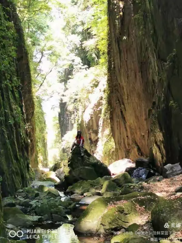 绝情谷探险